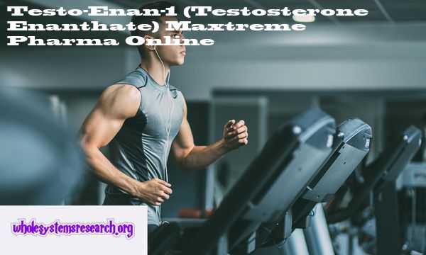 You can buy Testo-Enan-1 (Testosterone Enanthate) online with delivery to USA and Worldwide : Testosterone Enanthate by Maxtreme Pharma