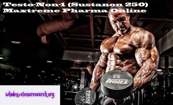 You can buy Testo-Non-1 (Sustanon 250) online with delivery to USA and Worldwide : Testosterone Propionate, Testosterone Phenylpropionate, Testosterone Isocaproate, Testosterone Decanoate by Maxtreme Pharma