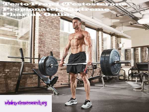 You can buy Testo-Prop-1 (Testosterone Propionate) online with delivery to USA and Worldwide : Testosterone Propionate by Maxtreme Pharma
