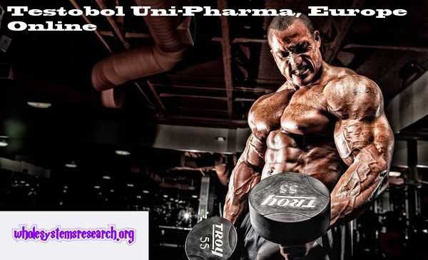 You can buy Testobol online with delivery to USA and Worldwide : Testosterone Enanthate by Uni-Pharma, Europe