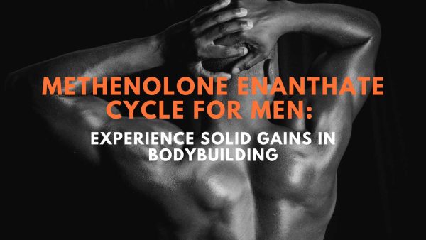 Methenolone Enanthate Cycle for Men